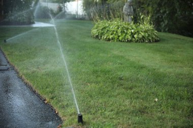 bahçede çim sulama