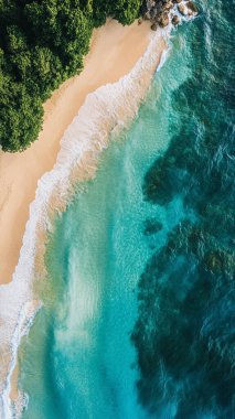 Tropikal deniz ve sahil manzarası.