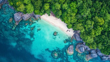 aerial top view of tropical beach with blue sea water and green leaves in koh phangan island, thailand, asia. summer travel and vacation concept