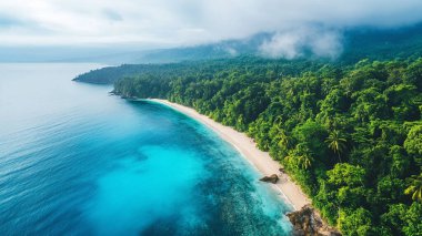 aerial view on tropical island in philippines. beautiful tropical beach with turquoise water and white sand. beautiful tropical paradise beach with blue lagoon. travel and