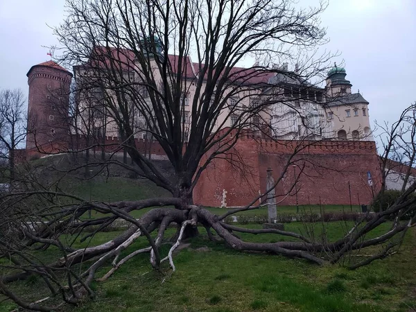 Wawel Royal Castle Civarındaki Krakov Polonya — Stok fotoğraf