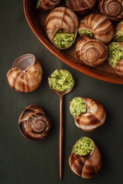 Aromatik yağ ve bitkilerle bezenmiş gurme salyangozlar canlı yeşil bir arka planda bakır kaşıkla sergileniyor..