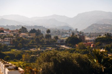 Kanarya adalarının eteklerindeki vadide evler ve palmiye ağaçları