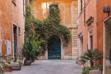 Roma 'da turuncu dar cadde