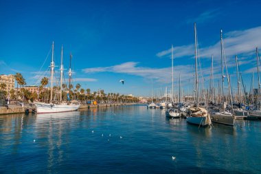 Barselona 'da yelkenli yatları olan bir marina.