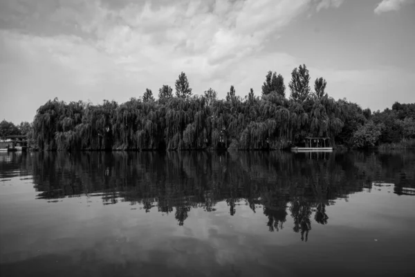 Black White Photo Trees Reflecting River Astrakhan — Stock Photo, Image