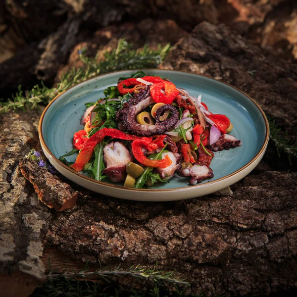 Salada Com Tentáculos Polvo Legumes Misturados Molho Vinho Uma Placa Imagens Royalty-Free