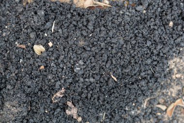 Asfalt dokular. Yüksek kalite fotoğraf