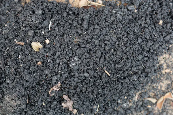 Asfalt dokular. Yüksek kalite fotoğraf