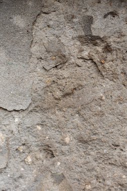 beton dokular. Yüksek kalite fotoğraf