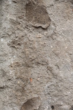 beton dokular. Yüksek kalite fotoğraf