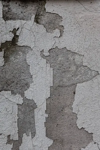 beton dokular. Yüksek kalite fotoğraf