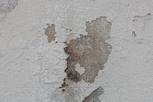beton dokular. Yüksek kalite fotoğraf