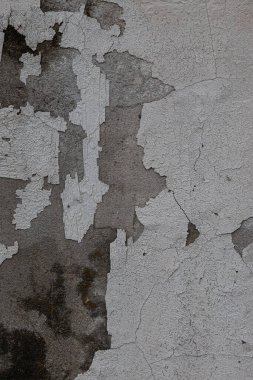 beton dokular. Yüksek kalite fotoğraf