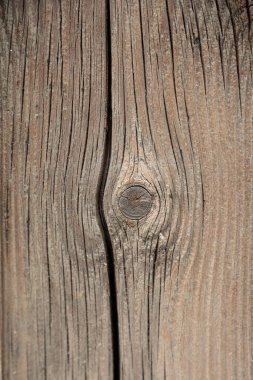 Tahta dokular. Yüksek kalite fotoğraf