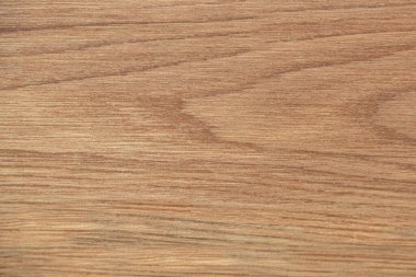 Tahta dokular. Yüksek kalite fotoğraf