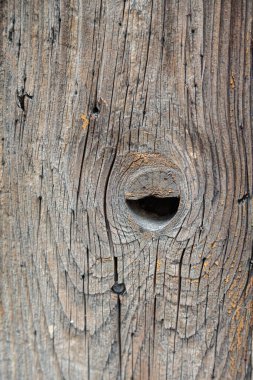 Tahta dokular. Yüksek kalite fotoğraf