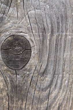 Tahta dokular. Yüksek kalite fotoğraf