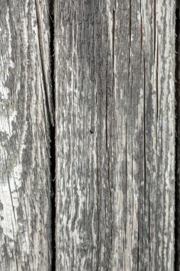 Tahta dokular. Yüksek kalite fotoğraf