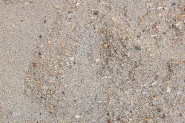 Farklı toprak dokuları. Yüksek kalite fotoğraf