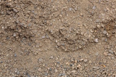 Farklı toprak dokuları. Yüksek kalite fotoğraf