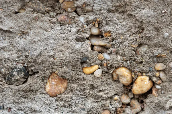 Asfalt dokular. Yüksek kalite fotoğraf