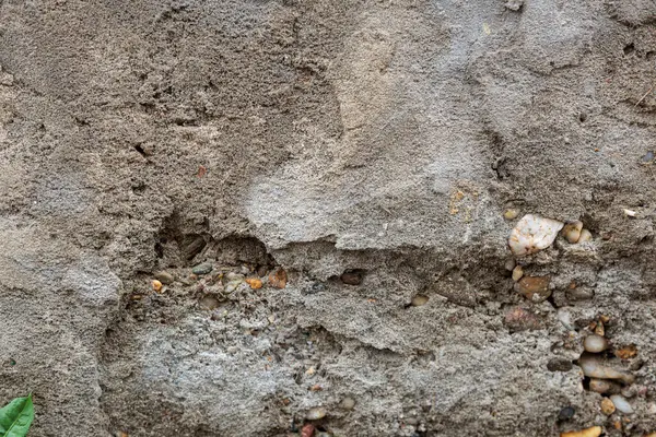 Asfalt dokular. Yüksek kalite fotoğraf