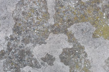 Şehirde yosun var. Yüksek kalite fotoğraf