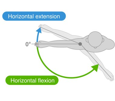 Omuz eklem hareketi ve hareket yönü