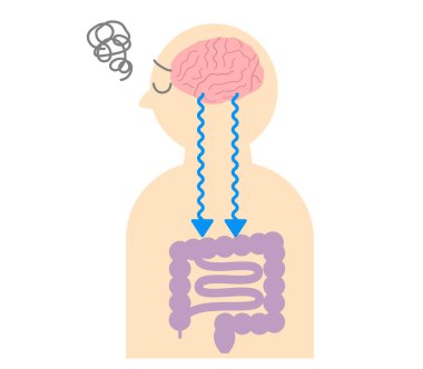 How stress causes stomach aches, and the relationship between the brain and the gut. Illustration of the gut-brain connection clipart