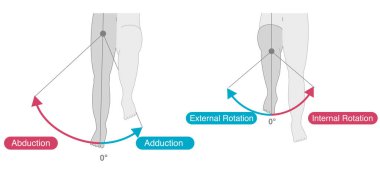 Kalça ekleminin hareket aralığı 