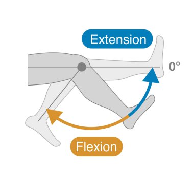 Diz ekleminin hareket aralığı: esneklik ve genişleme
