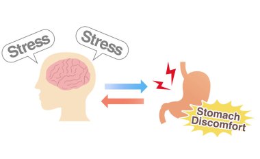 Stresin mide ağrısına nasıl yol açtığının kavramsal gösterimi: bağırsak-beyin ekseni ve fonksiyonel hazımsızlık