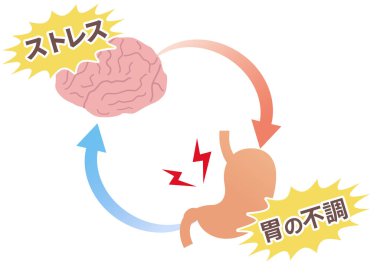 Stresin mide ağrısına nasıl yol açtığının kavramsal gösterimi: bağırsak-beyin ekseni ve fonksiyonel hazımsızlık