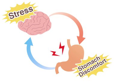Stresin mide ağrısına nasıl yol açtığının kavramsal gösterimi: bağırsak-beyin ekseni ve fonksiyonel hazımsızlık