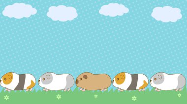 Mavi Gök 'ün Altındaki Çimenli Çayırda Kuyrukta Yürüyen Kobay Domuzlarının Şirin Çerçevesi