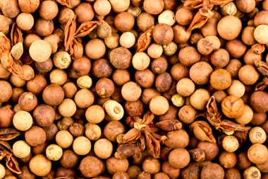 Güzel Baharatlar Macro Canlı Mutfak Zevkleri Dünyasını Keşfediyor