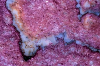 Güzel Pastel Makro Taş Büyüleyici Renkler ve Dokular