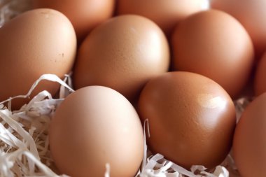 Pastel Paskalya Yumurtalarının Enfes Renkleri