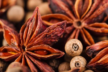 Güzel Baharatlar Macro Canlı Mutfak Zevkleri Dünyasını Keşfediyor