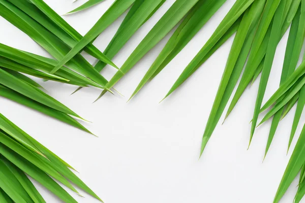 Stock image Beautiful Leaf Background with White Paper A Refreshing and Serene Combination