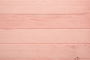 Pastel Woodgrain Rüyaları: Yumuşak Renkli Ahşap Özgeçmişin Büyüleyici Koleksiyonu
