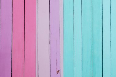 Pastel Woodgrain Rüyaları: Yumuşak Renkli Ahşap Özgeçmişin Büyüleyici Koleksiyonu