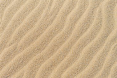 Çöldeki kum tepeleri Sahara çölünde