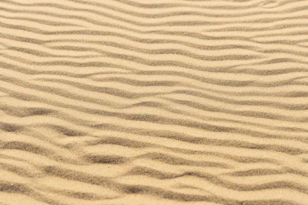 Sahara Çölü Ndeki Kum Tepecikleri Fas Afrika Soyut Dokusunda — Stok fotoğraf