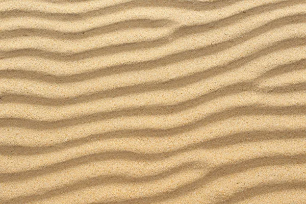 砂质的形态 — 图库照片