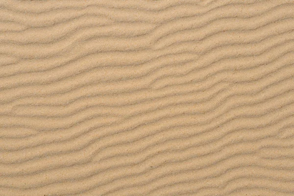 砂質の背景 — ストック写真