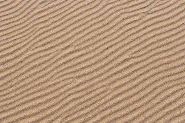 Achtergrond Van Zand Textuur — Stockfoto