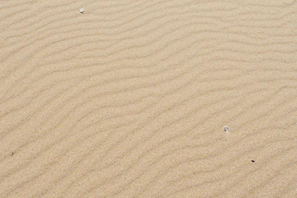 Zandtextuur Met Golvende Lijnen Woestijn — Stockfoto