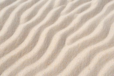 Kum dokusu, yakın - yakın -.